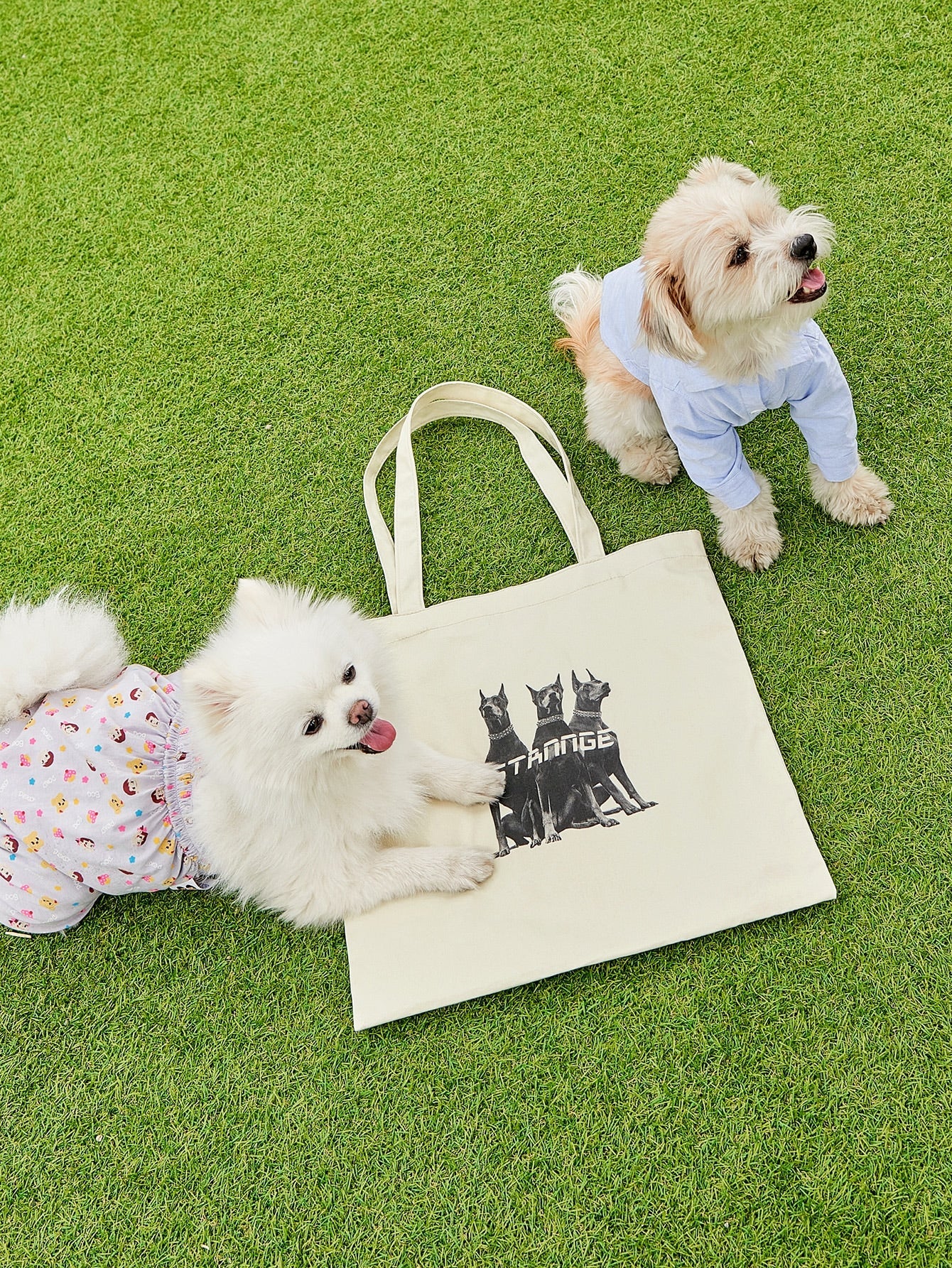 DAZY Dog Graphic Shopper Bag
