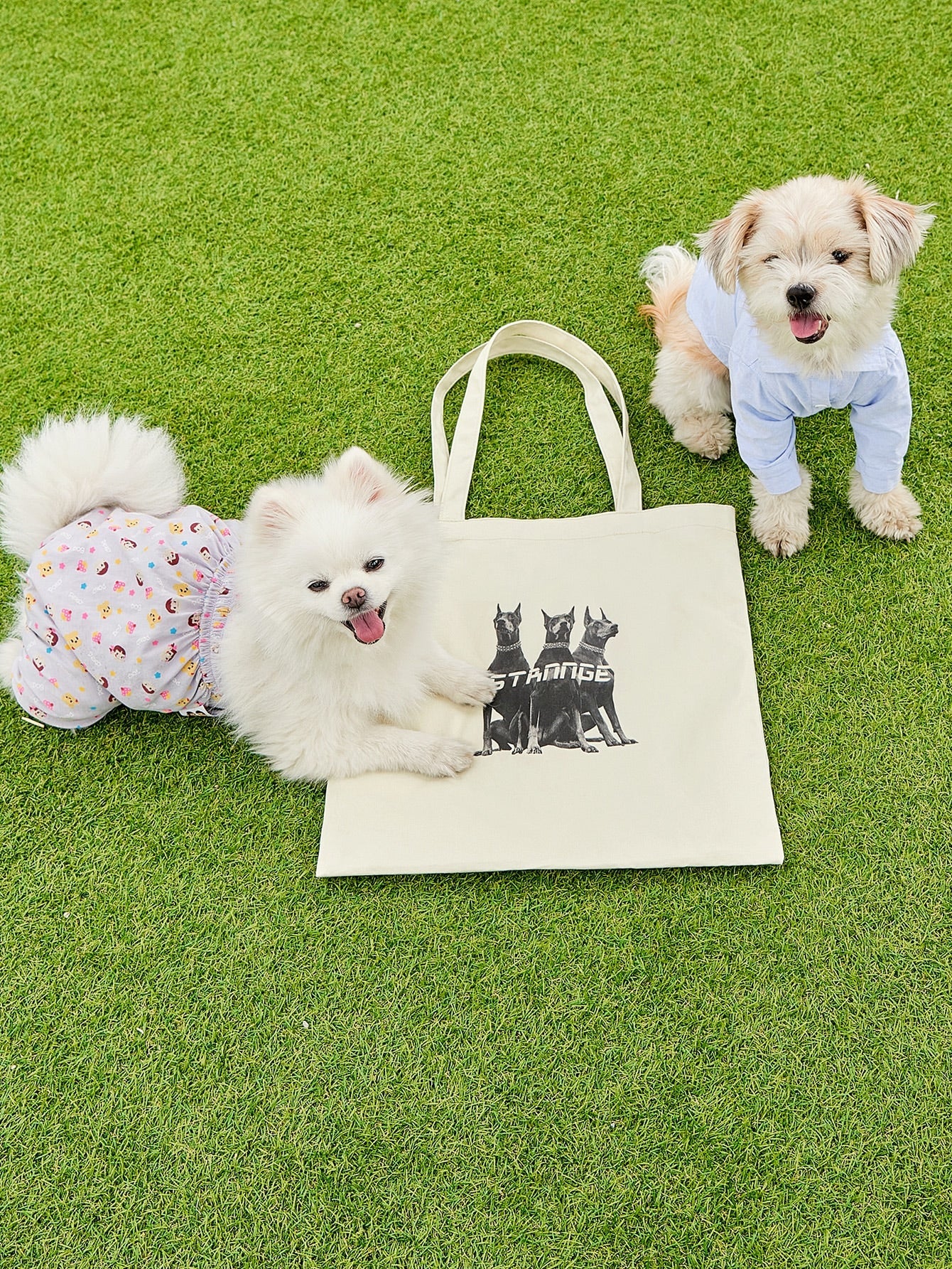 DAZY Dog Graphic Shopper Bag