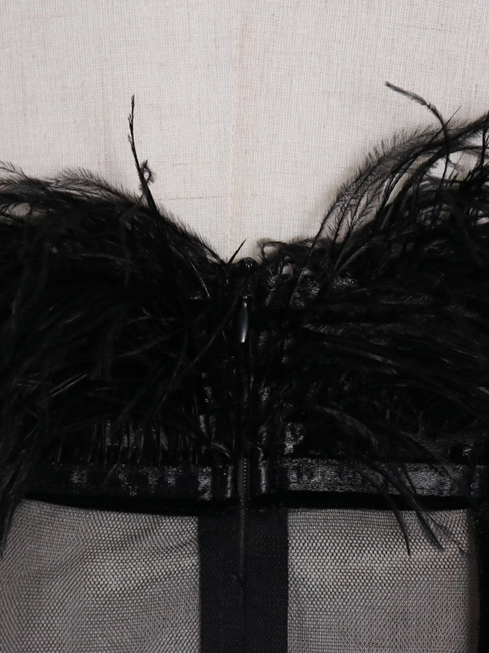CIERA Feathers Dress